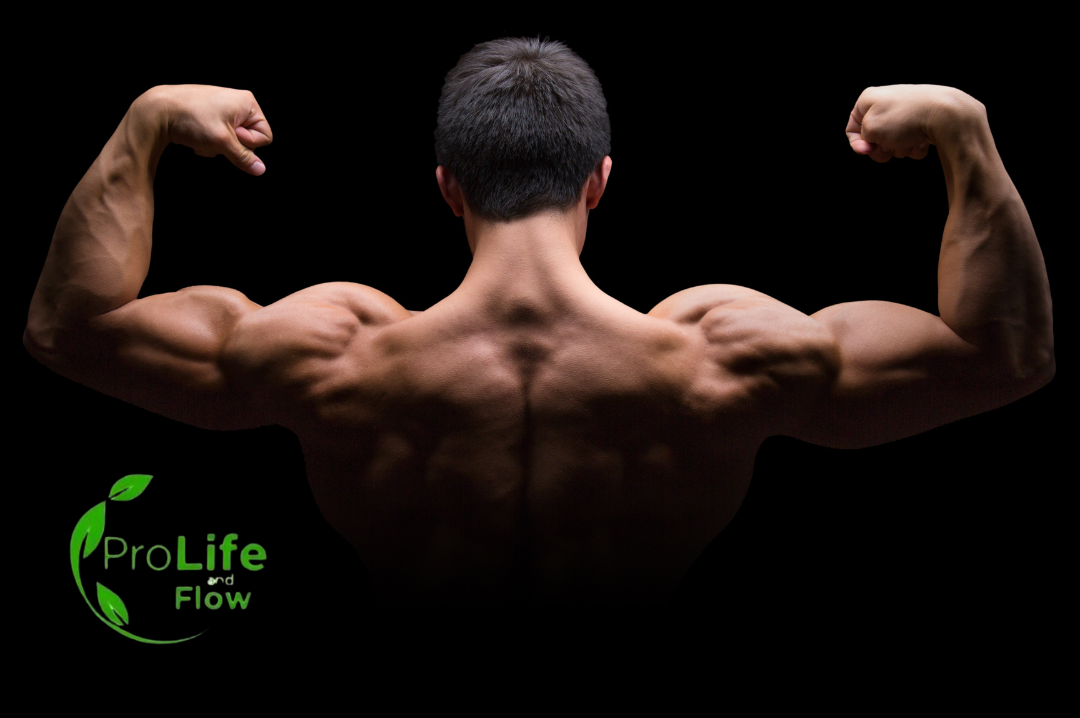 Conjunto de acessórios para fortalecimento muscular, incluindo halteres, faixas elásticas, caneleiras e rolo miofascial, ideais para treinar em casa ou na academia.